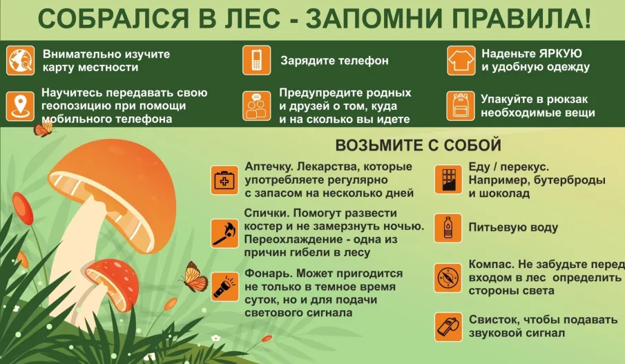 Собрался в лес - запомни правила! ⁣